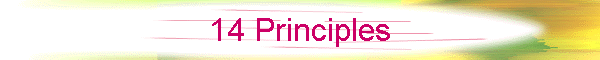 14 Principles
