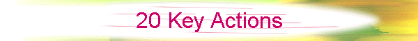 20 Key Actions